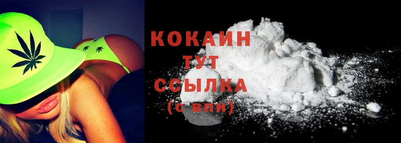 Cocaine Fish Scale  кракен ТОР  Белогорск  как найти закладки 